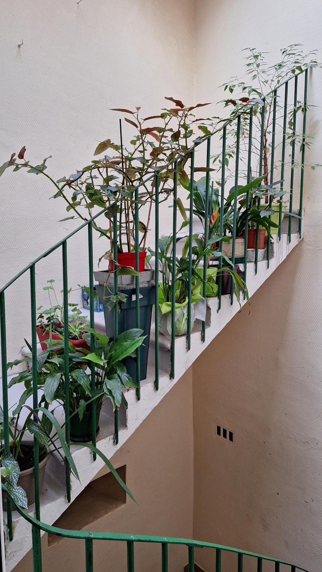 Vacance Et Cure Dans Duplex 80 M2 A Ceret 66400 المظهر الخارجي الصورة